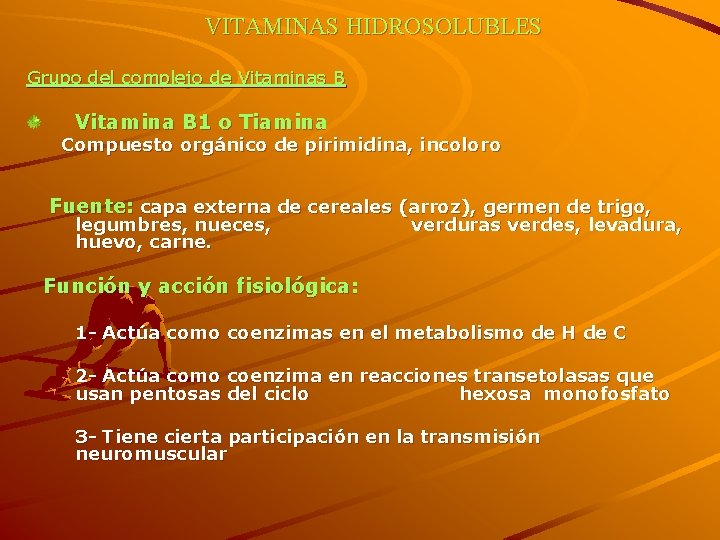 VITAMINAS HIDROSOLUBLES Grupo del complejo de Vitaminas B Vitamina B 1 o Tiamina Compuesto