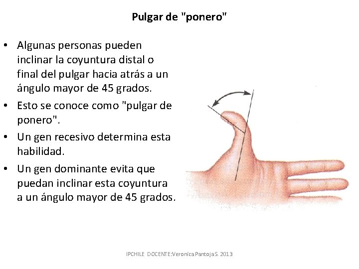 Pulgar de "ponero" • Algunas personas pueden inclinar la coyuntura distal o final del