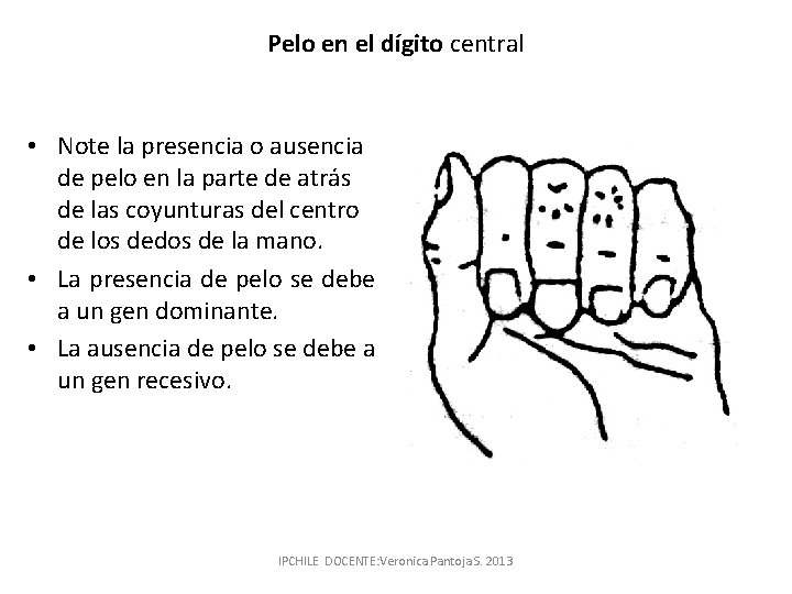 Pelo en el dígito central • Note la presencia o ausencia de pelo en