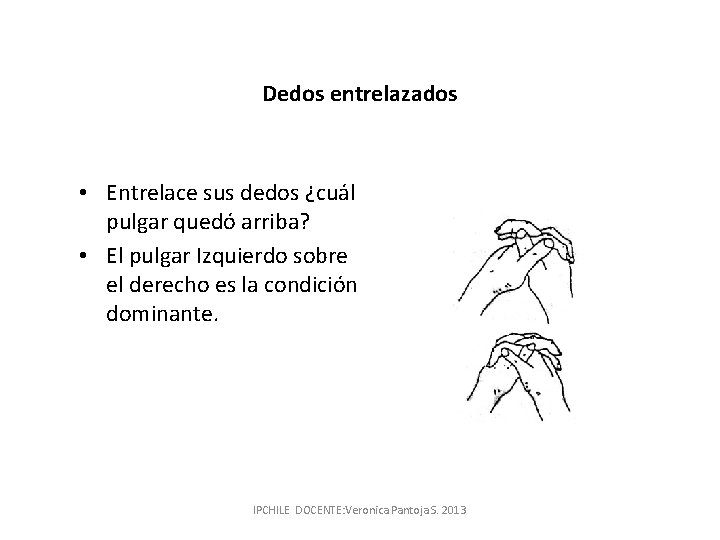 Dedos entrelazados • Entrelace sus dedos ¿cuál pulgar quedó arriba? • El pulgar Izquierdo