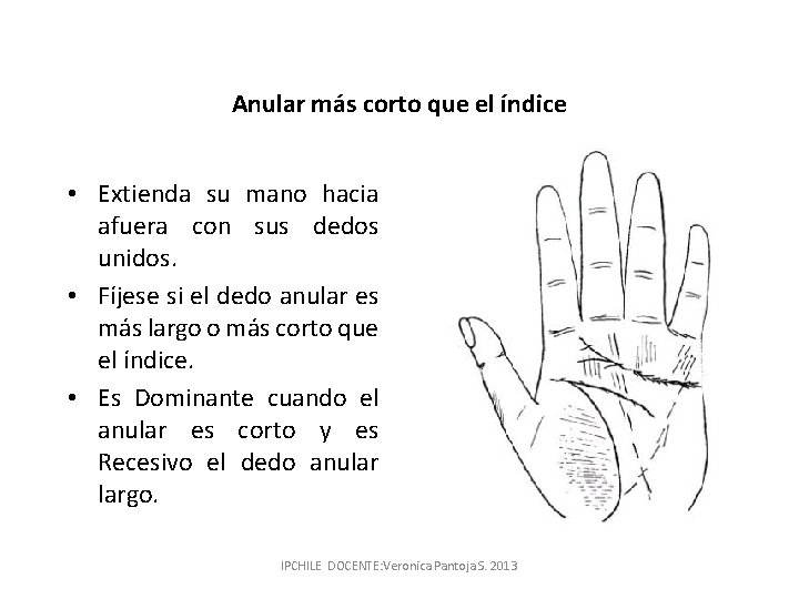 Anular más corto que el índice • Extienda su mano hacia afuera con sus