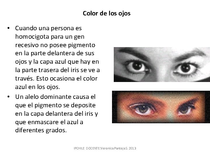 Color de los ojos • Cuando una persona es homocigota para un gen recesivo
