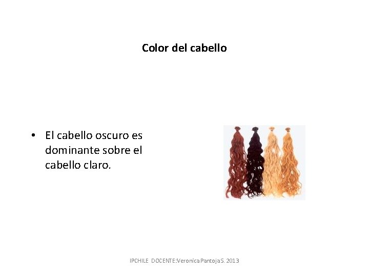 Color del cabello • El cabello oscuro es dominante sobre el cabello claro. IPCHILE