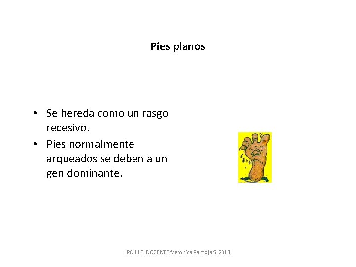 Pies planos • Se hereda como un rasgo recesivo. • Pies normalmente arqueados se
