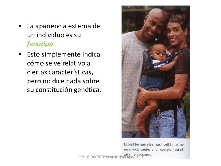  • La apariencia externa de un individuo es su fenotipo. • Esto simplemente