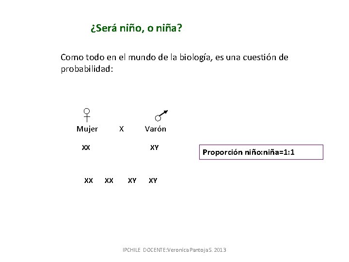 ¿Será niño, o niña? Como todo en el mundo de la biología, es una