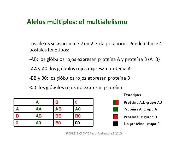 Alelos múltiples: el multialelismo Los alelos se asocian de 2 en la población. Pueden