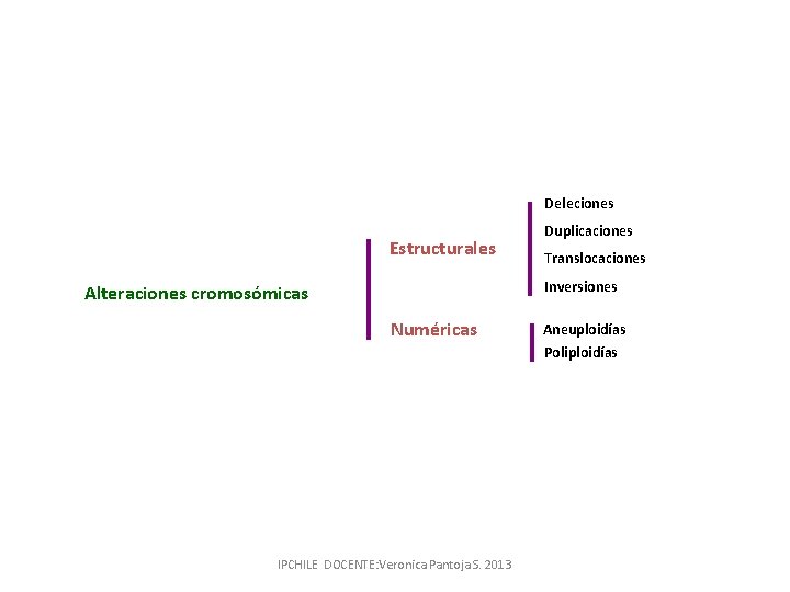 Deleciones Estructurales Duplicaciones Translocaciones Inversiones Alteraciones cromosómicas Numéricas Aneuploidías Poliploidías IPCHILE DOCENTE: Veronica Pantoja