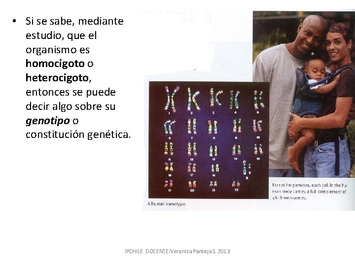  • Si se sabe, mediante estudio, que el organismo es homocigoto o heterocigoto,