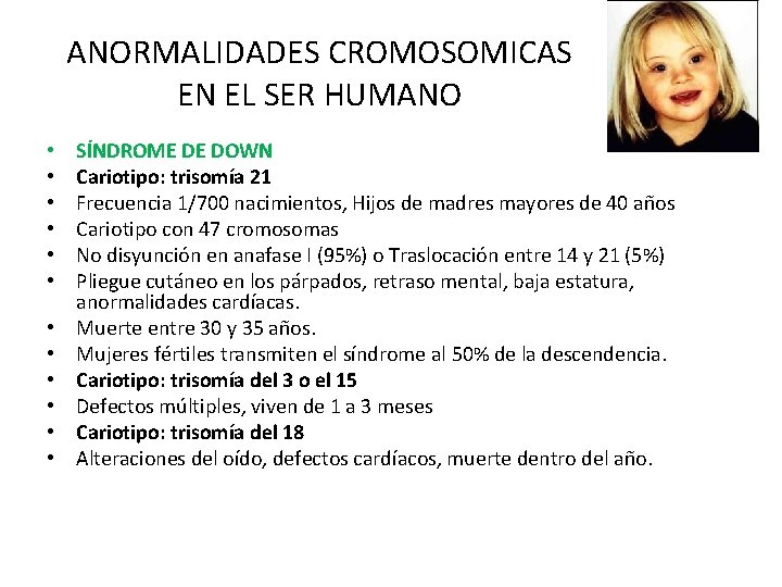 ANORMALIDADES CROMOSOMICAS EN EL SER HUMANO • • • SÍNDROME DE DOWN Cariotipo: trisomía