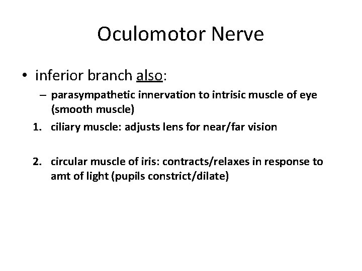 Oculomotor Nerve • inferior branch also: – parasympathetic innervation to intrisic muscle of eye