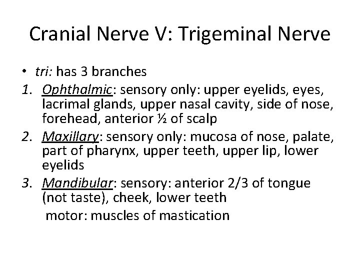 Cranial Nerve V: Trigeminal Nerve • tri: has 3 branches 1. Ophthalmic: sensory only: