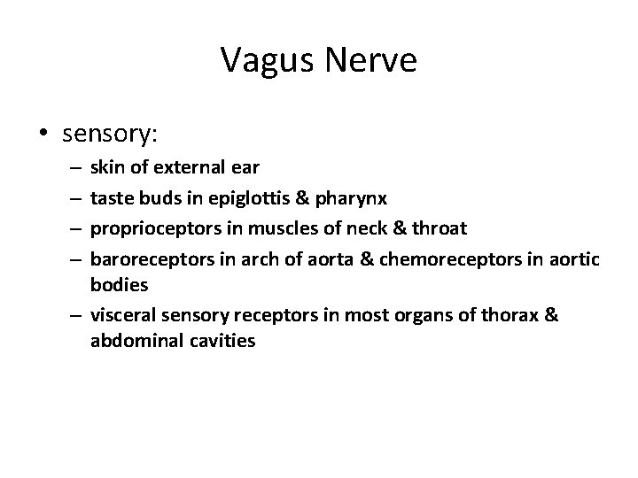 Vagus Nerve • sensory: skin of external ear taste buds in epiglottis & pharynx