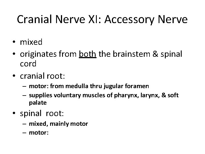 Cranial Nerve XI: Accessory Nerve • mixed • originates from both the brainstem &