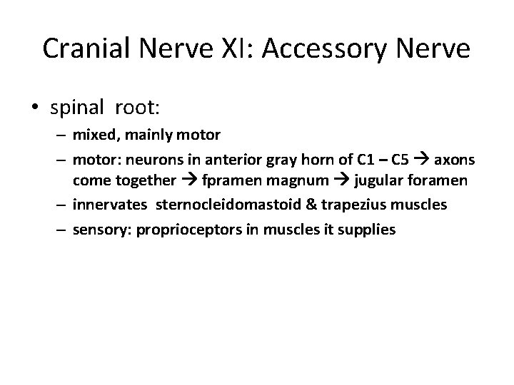 Cranial Nerve XI: Accessory Nerve • spinal root: – mixed, mainly motor – motor: