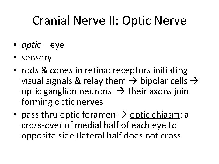 Cranial Nerve II: Optic Nerve • optic = eye • sensory • rods &