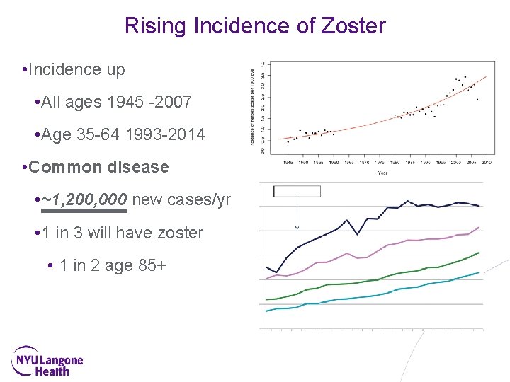 Rising Incidence of Zoster • Incidence up • All ages 1945 -2007 • Age