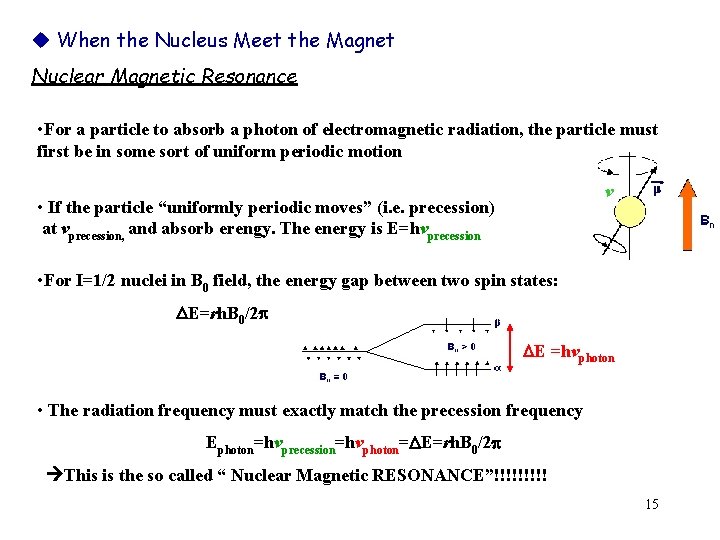  When the Nucleus Meet the Magnet Nuclear Magnetic Resonance • For a particle