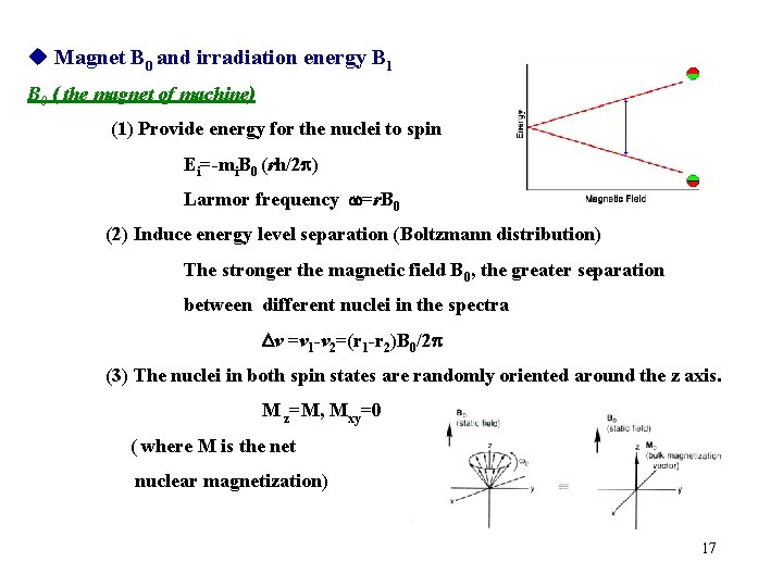  Magnet B 0 and irradiation energy B 1 B 0 ( the magnet