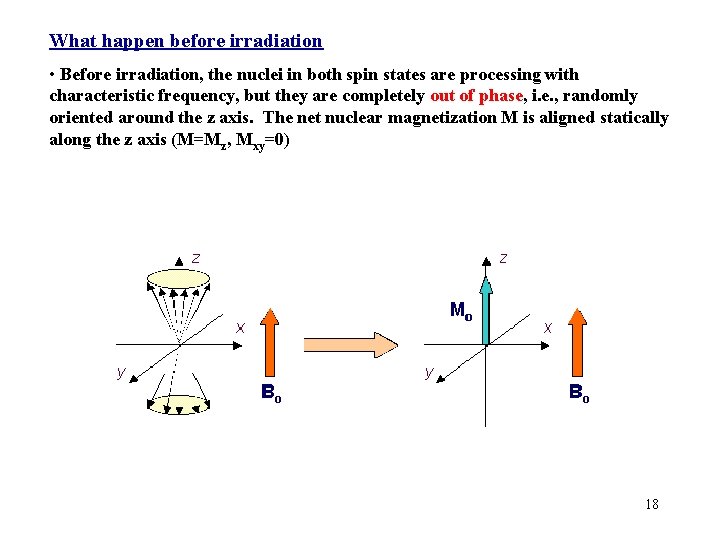 What happen before irradiation • Before irradiation, the nuclei in both spin states are