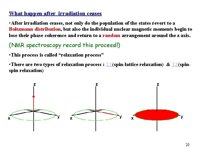 What happen after irradiation ceases • After irradiation ceases, not only do the population