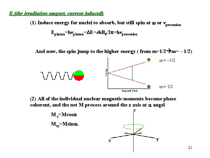B 1(the irradiation magnet, current induced) (1) Induce energy for nuclei to absorb, but