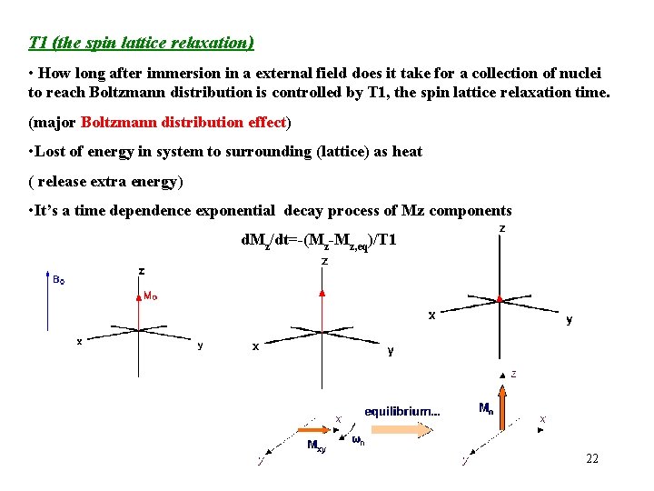 T 1 (the spin lattice relaxation) • How long after immersion in a external