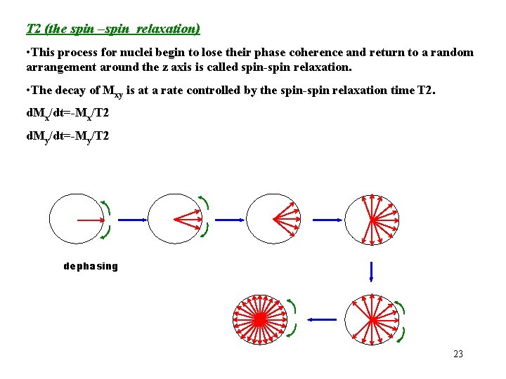 T 2 (the spin –spin relaxation) • This process for nuclei begin to lose