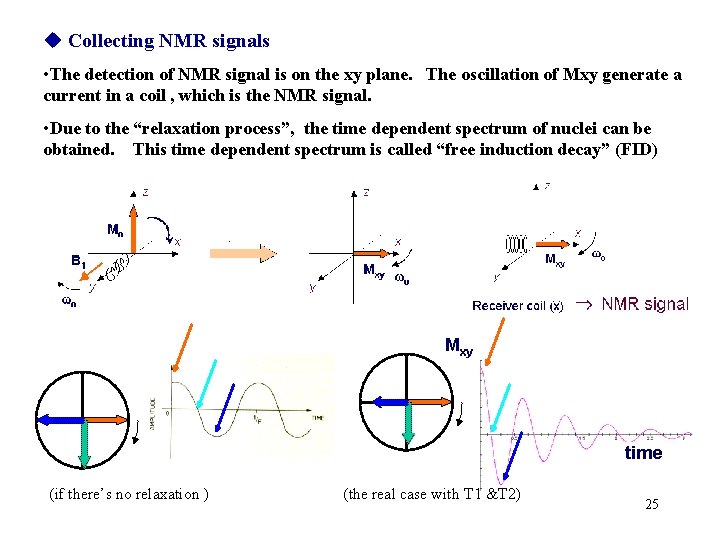  Collecting NMR signals • The detection of NMR signal is on the xy