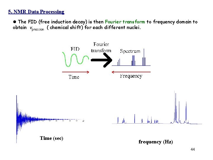5. NMR Data Processing l The FID (free induction decay) is then Fourier transform