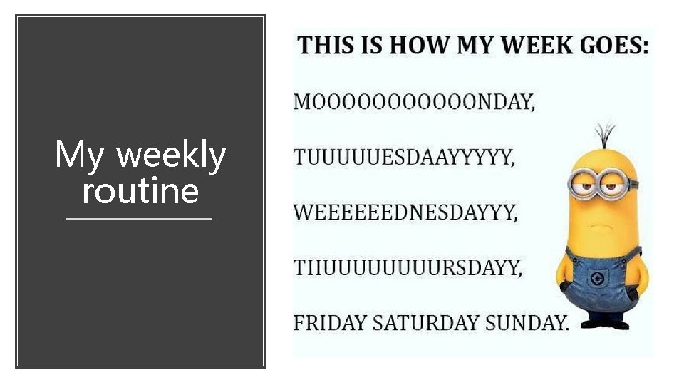 My weekly routine My weekly routine