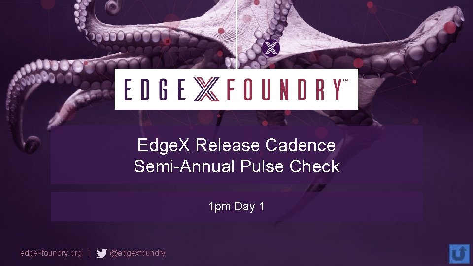 Edge. X Release Cadence Semi-Annual Pulse Check 1 pm Day 1 edgexfoundry. org |