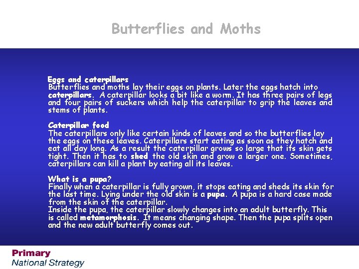 Butterflies and Moths Eggs and caterpillars Butterflies and moths lay their eggs on plants.