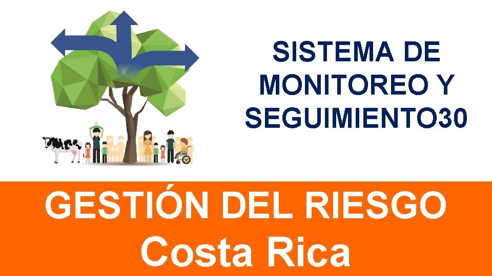 SISTEMA DE MONITOREO Y SEGUIMIENTO 30 GESTIÓN DEL RIESGO Costa Rica 