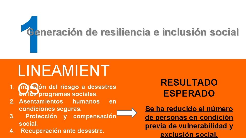 1 Generación de resiliencia e inclusión social LINEAMIENT 1. OS Inclusión del riesgo a