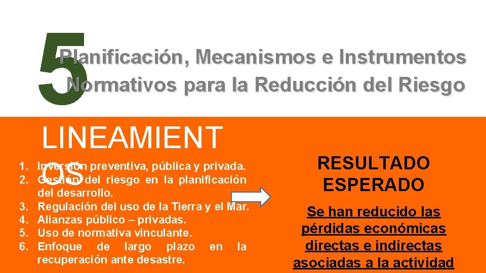 5 Planificación, Mecanismos e Instrumentos Normativos para la Reducción del Riesgo LINEAMIENT OS 1.