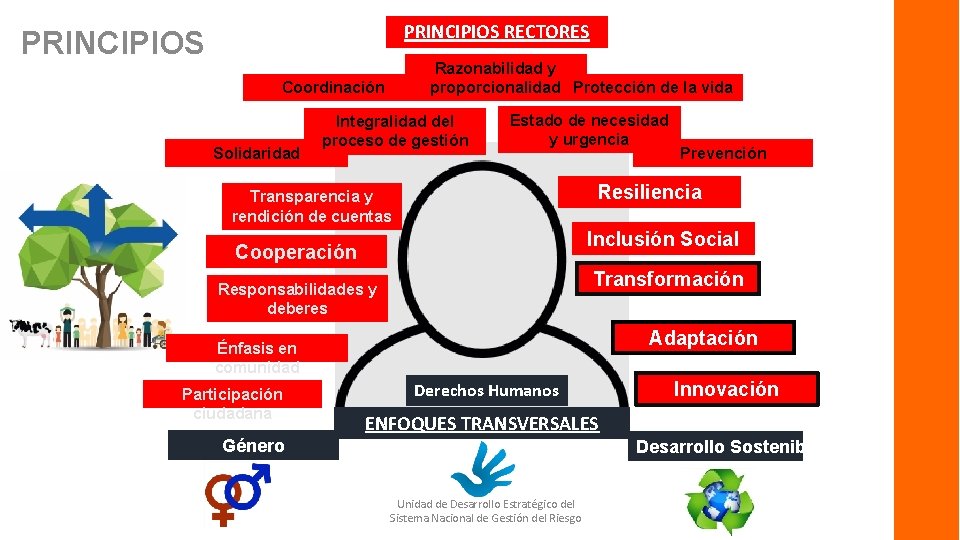 PRINCIPIOS RECTORES PRINCIPIOS Razonabilidad y proporcionalidad Protección de la vida Coordinación Solidaridad Integralidad del