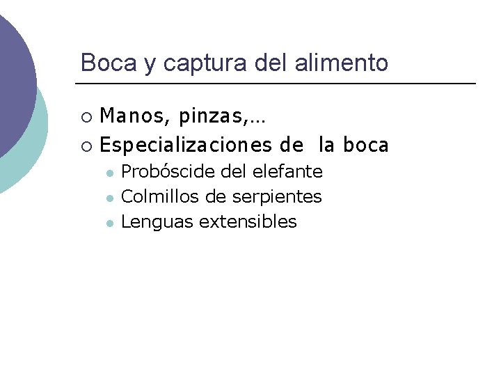 Boca y captura del alimento Manos, pinzas, … ¡ Especializaciones de la boca ¡