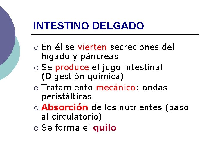 INTESTINO DELGADO En él se vierten secreciones del hígado y páncreas ¡ Se produce