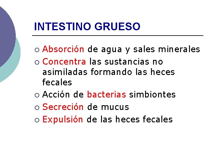 INTESTINO GRUESO Absorción de agua y sales minerales ¡ Concentra las sustancias no asimiladas