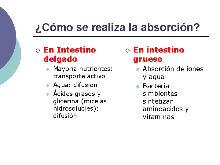 ¿Cómo se realiza la absorción? ¡ En Intestino delgado l l l Mayoría nutrientes: