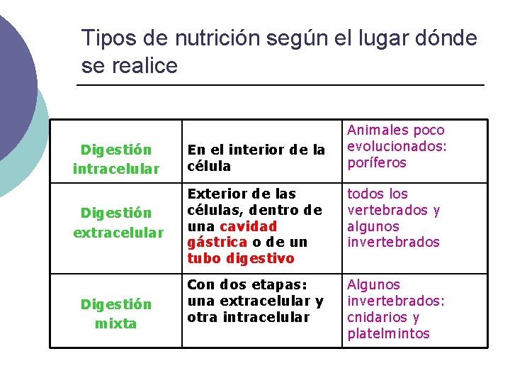 Tipos de nutrición según el lugar dónde se realice Animales poco evolucionados: poríferos Digestión