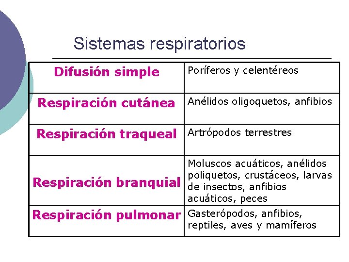 Sistemas respiratorios Difusión simple Poríferos y celentéreos Respiración cutánea Anélidos oligoquetos, anfibios Respiración traqueal