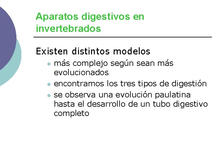 Aparatos digestivos en invertebrados Existen distintos modelos l l l más complejo según sean