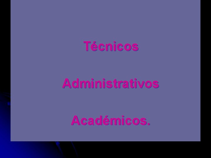 Técnicos Administrativos Académicos. 