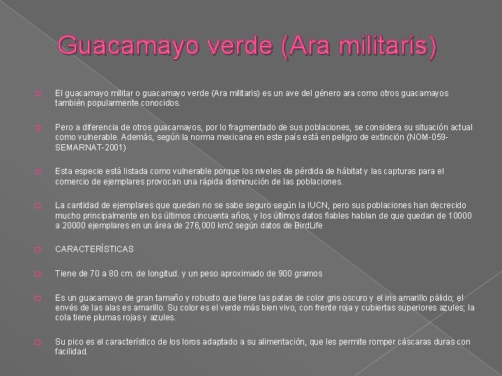 Guacamayo verde (Ara militaris) � El guacamayo militar o guacamayo verde (Ara militaris) es Guacamayo verde (Ara militaris) � El guacamayo militar o guacamayo verde (Ara militaris) es