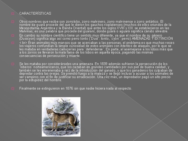 � CARACTERÍSTICAS � Otros nombres que recibe son zorrolobo, zorro malvinero, zorro malvinense o � CARACTERÍSTICAS � Otros nombres que recibe son zorrolobo, zorro malvinero, zorro malvinense o