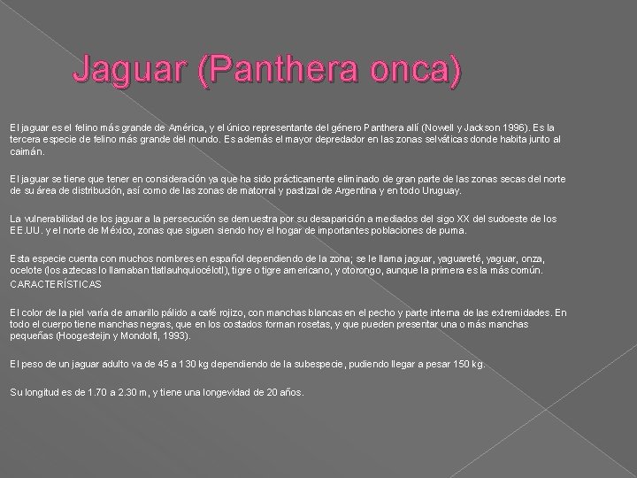 Jaguar (Panthera onca) El jaguar es el felino más grande de América, y el Jaguar (Panthera onca) El jaguar es el felino más grande de América, y el