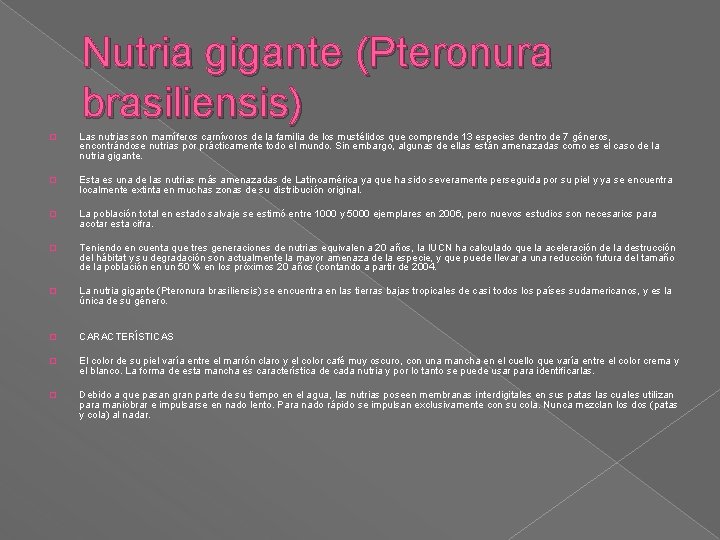 Nutria gigante (Pteronura brasiliensis) � Las nutrias son mamíferos carnívoros de la familia de Nutria gigante (Pteronura brasiliensis) � Las nutrias son mamíferos carnívoros de la familia de