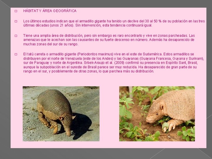 � HÁBITAT Y ÁREA GEOGRÁFICA � Los últimos estudios indican que el armadillo gigante � HÁBITAT Y ÁREA GEOGRÁFICA � Los últimos estudios indican que el armadillo gigante